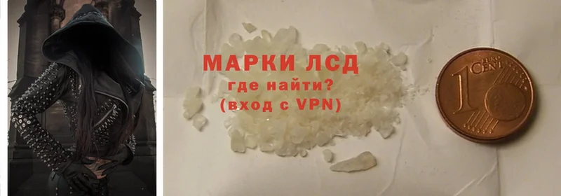 Что такое Гатчина Cocaine  Alpha-PVP  Псилоцибиновые грибы  ГАШ 